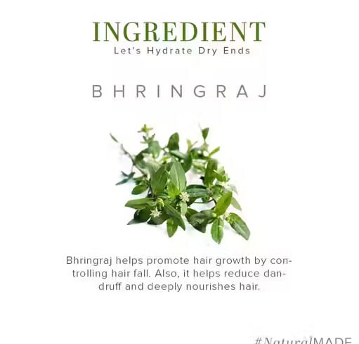 Khadi Natural Bhringraj Hair Oil – Hair Fall Control & Healthy Hair Growth | Paraben & Silicone Free | 210ml